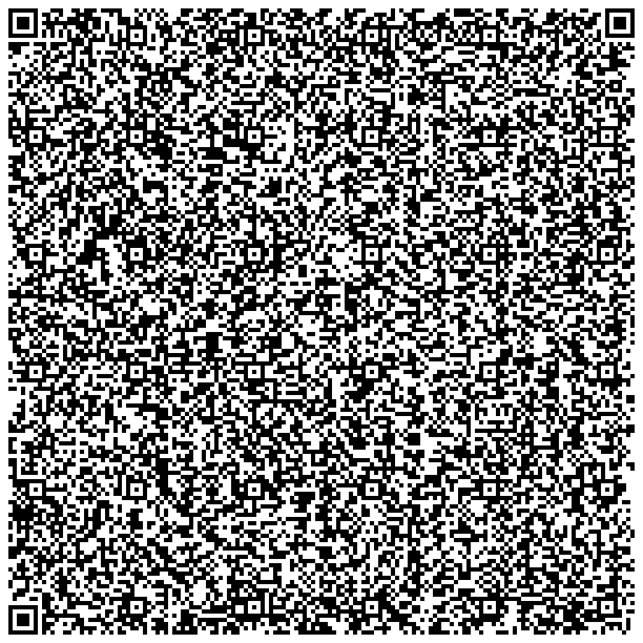 Dark Flyer QR code PNG
